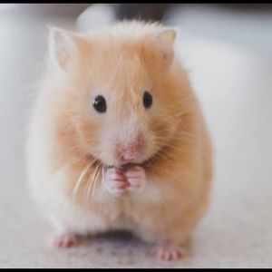 Meet your Posher, Lydia